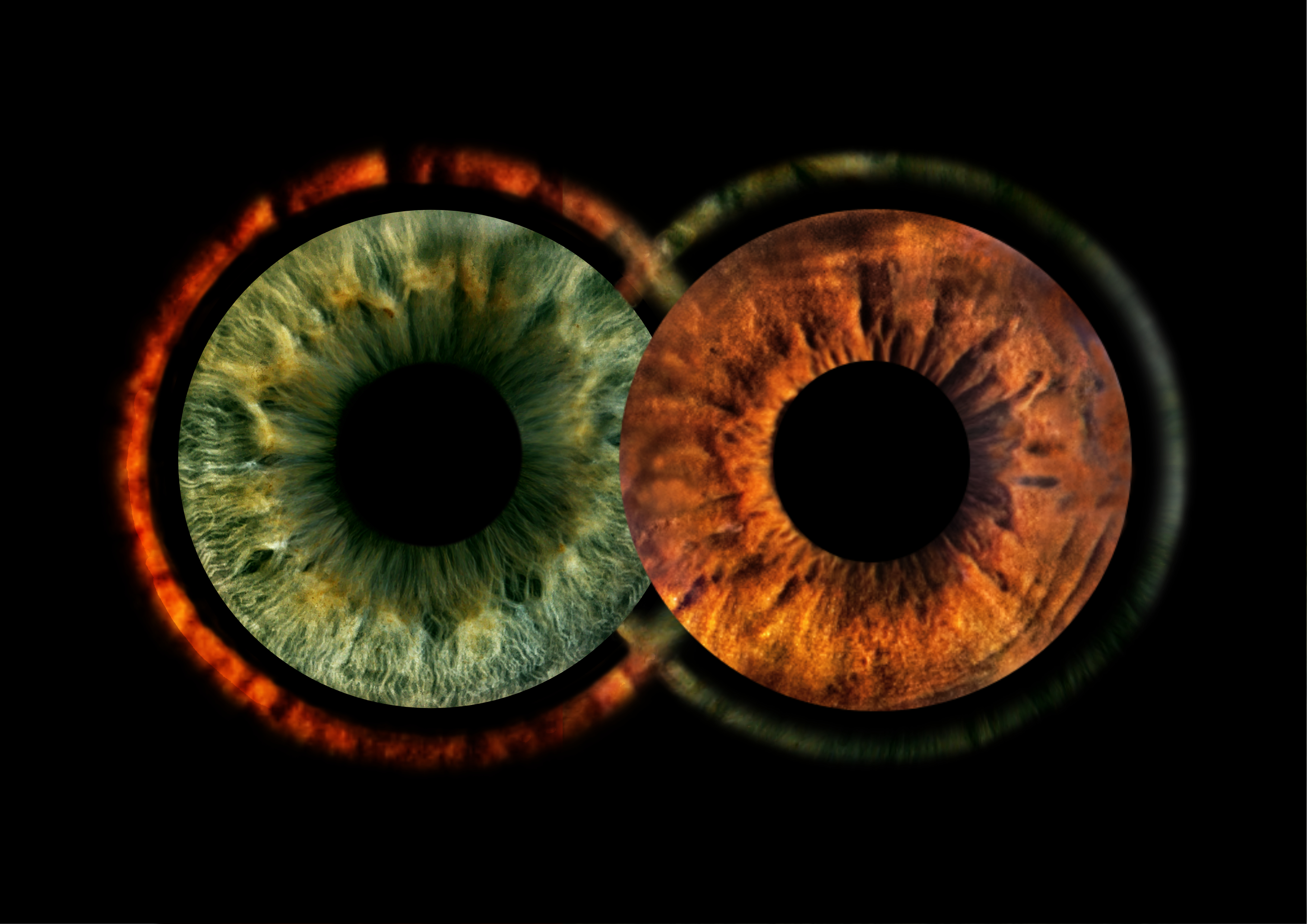 Iris 2